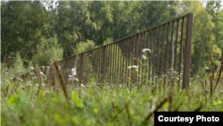 Ограждение от коров на кладбище