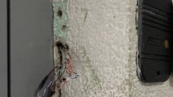 Բելառուսում խուզարկել են «Ազատության» լրագրողների բնակարանները