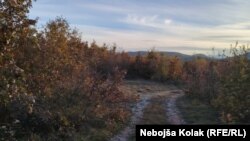 Bozót a naperőmű helyén Zubciban, Bosznia-Hercegovinában 2024. november 13-án