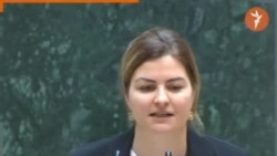 ანა ნაცვლიშვილი სახელმწიფო ინსპექტორზე