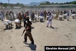 Luptători talibani supraveghează distribuirea de alimente aduse de un grup umanitar chinez la Kabul, aprilie 2022. Potrivit estimărilor, peste 1,1 milioane de copii afgani sub vârsta de 5 ani s-au confruntat cu foamete severă și malnutriție în 2022.