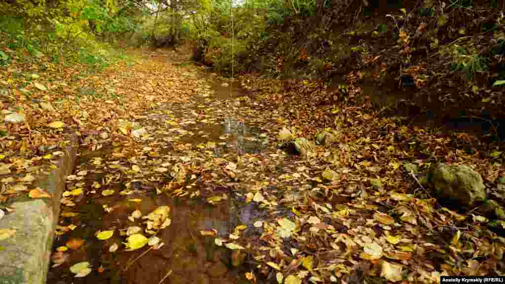 Yağmursız yaz ve küz sebebinden özen suvu eksildi