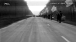 «Живий ланцюг» до Дня Соборності