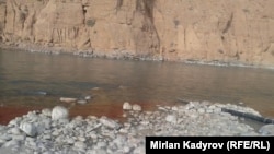 Река Нарын. 