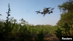 Ілюстрацыйнае фота