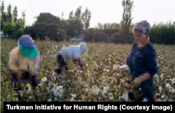 Источник: Turkmen Initiative for Human Rights