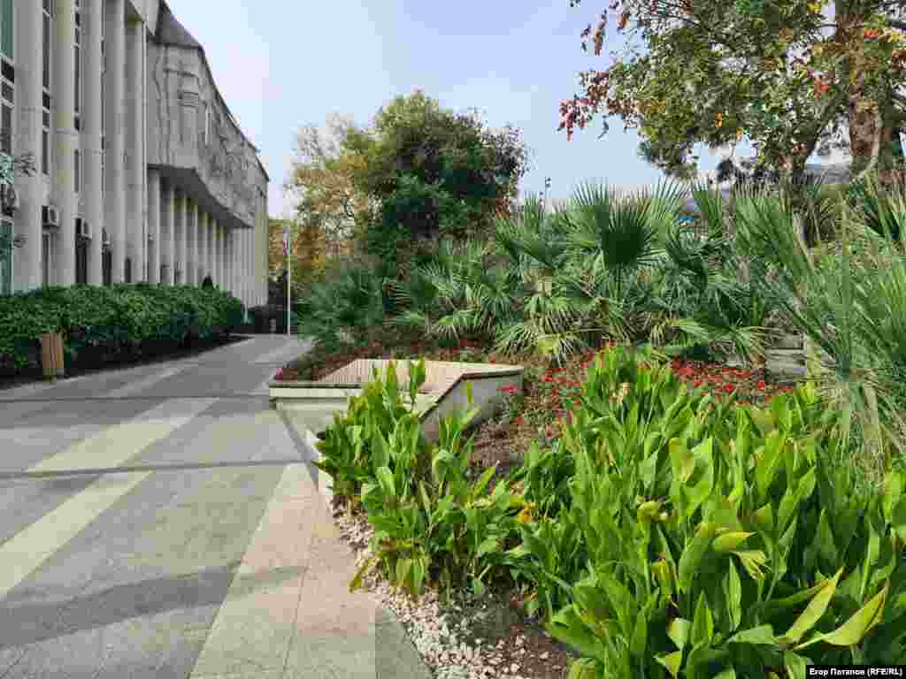 Соковита субтропічна рослинність зовсім не нагадує про жовтень