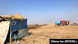 Образ жизни скотоводов, погнавших скот к Коксарайскому водохранилищу в поисках травы и воды   