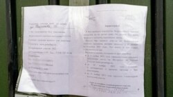 Ealini cedvelge aluv ilânı Aqmescit rayonlarından birindeki qorada, Qırım, 2021 senesi noyabr ayı