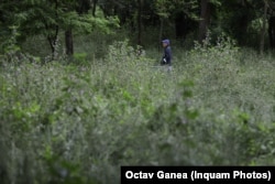 Parcul Tineretului a fost lăsat de izbeliște de autorități, iarba netăiată și buruienile l-au transformat într-o junglă. (mai 2021)