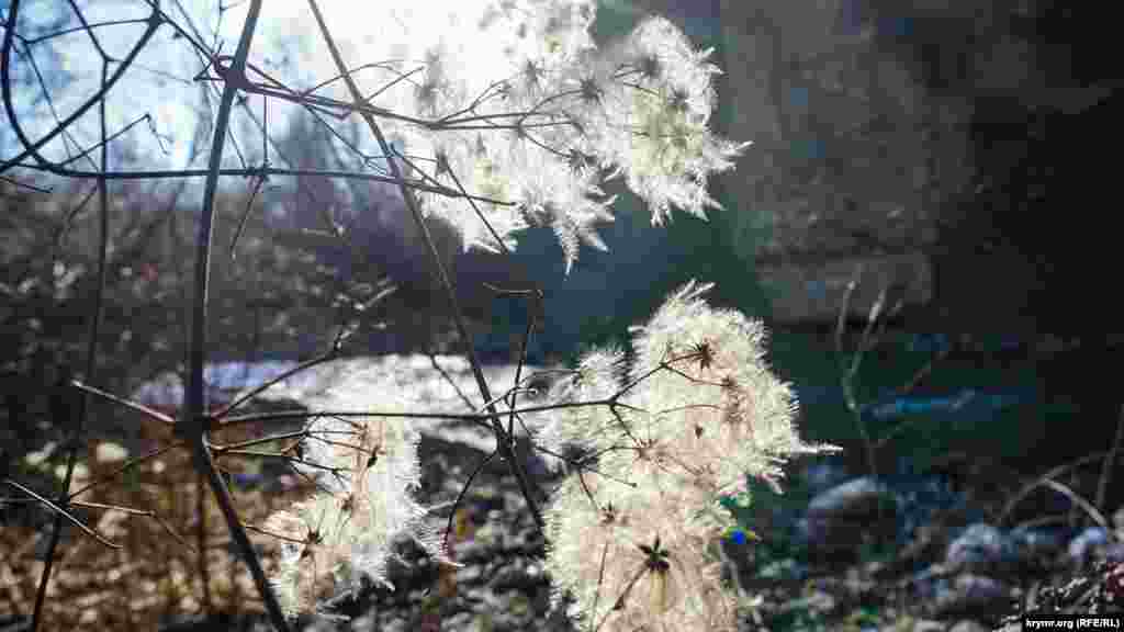 Anğara özeniniñ yalısında