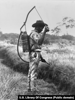 Рабочий в Панаме распыляет средство для защиты от комаров