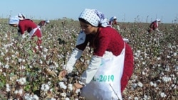 Pagta plany dolandygy aýdylan Türkmenistanda býujet işgärlerinden pul ýygnamak we olary mejbury ýygyma çekmek işleri dowam edýär