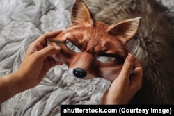 Маска лісіцы