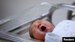 Иллюстрациялык сүрөт.