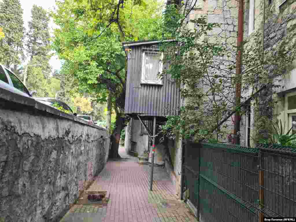 Ялтинські нетрі