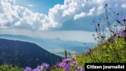 Нохчийчоь -- Нохчийн лаьмнаш