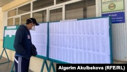 Өзүн шайлоочулардын тизмесинен издеп жаткан жаран.