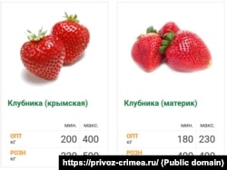Стоимость клубники, произведенной в Крыму и соседней России, по данным симферопольского рынка «Привоз», июнь 2025 года