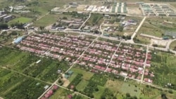 ჩემი სახლის ადგილას ტყეა