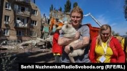 O pisică este salvată dintre dărămăturile unui bloc lovit în timpul atacului de joi. 