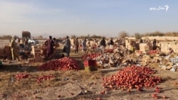 افغانستان له پاکستان سره د اړيکو تر خرابېدو وروسته بدیلې تجارتي لارې لټوي