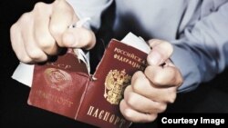 ილუსტრირებული ფოტო