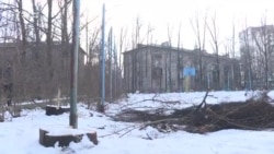 Шаар тургундары бактарды кыюуга каршы