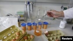 Фото из архива