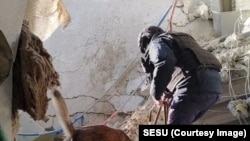 When Kyiv suffered a big missile strike, damaging a well-known business center in a populated area of the city. SESU quickly responded to search the strike site for potentially remaining unexploded ordnance, using mine-detection dogs that were provided by NPA.
