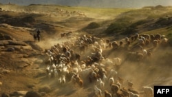 Кытайдын Алтай аймагында мал айдап бара жаткан казак. Шинжаң, 2012-жыл. 