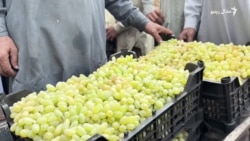 له افغانستان سره د لارو بندېدو له امله په پاکستان کې د مېوو او سبزيانو نرخونه زيات شوي