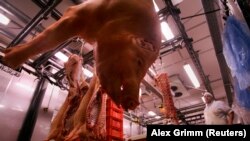 1,6 milioane de suine sunt crescute în fermele zootehnice comerciale.