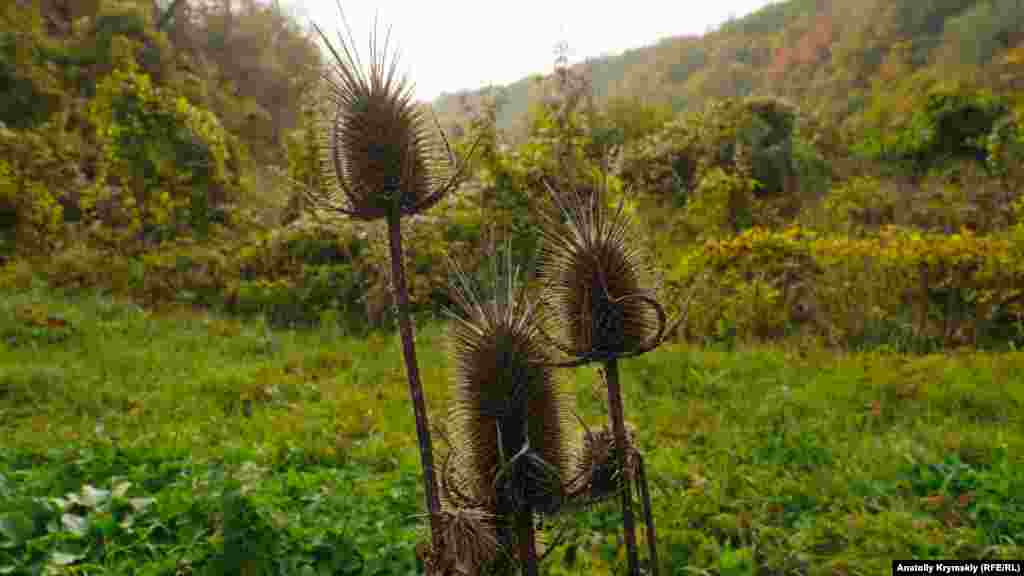 Beş Terek özeniniñ sağ yalısı - Atalıq Eli (Solovyovka) köyüniñ azbarları yerleşken tar vadiy