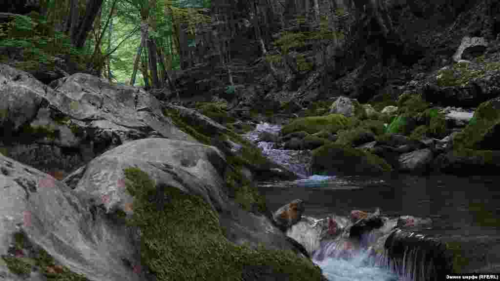 Dereniñ tübünde aqqan Avuzıñ Üzen özeni