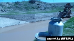 Водный канал возле села Кара-Дарыя, Джалал-Абадская область, 6 апреля 2011 года.