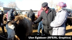 Скотный рынок в Кочкорке. Фото не имеет отношения к статье.