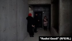 Дохили бино