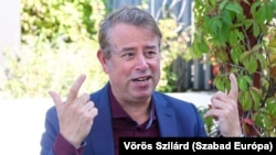 Mark van Vugt Budapesten 2024. szeptember 19-én