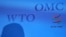Ситуация с ВТО вновь сделала актуальным вопрос информационной политики Абхазии
