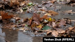 Иллюстрациялык сүрөт