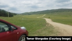 თამარ გიორგაძის ნაკვეთი