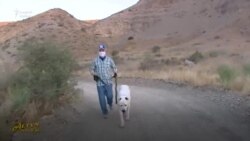 Berdimuhamedow alabaý bilen ylgawa çykdy