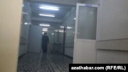 Illýustrasiýa suraty