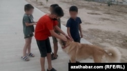 Ашхабад (иллюстративное фото)