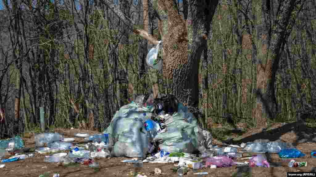 Ormannıñ yanında oba-oba çöplük bıraqılğan