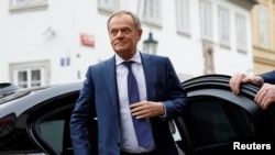 Дональд Туск.