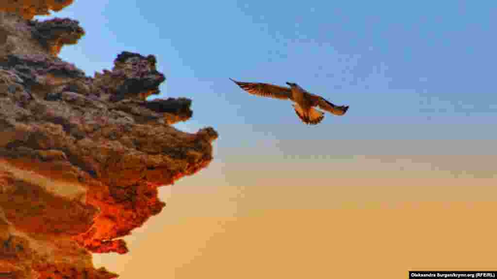 Qaya yanında uçqan çağala