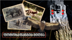 ფოტოხაფანგის მიღმა