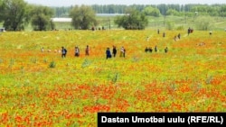 Иллюстрация сүрөт